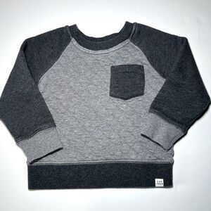 Baby Gap Toddler Boys Quilted Sweatshirt